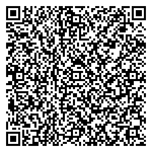 Евросеть Лыткарино ул. Октябрьская, д. 4 контакты qr