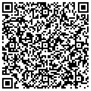 FastMoney Воронеж Патриотов, 3а контакты qr