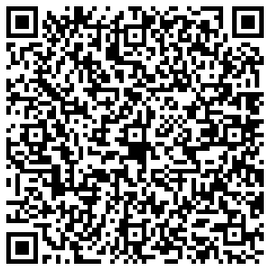 Fissman Челябинск Труда, 203 контакты qr