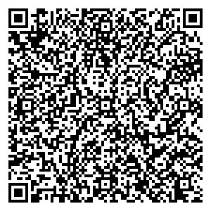 Фикс Прайс Коломна ул. Малышева. д.17 контакты qr