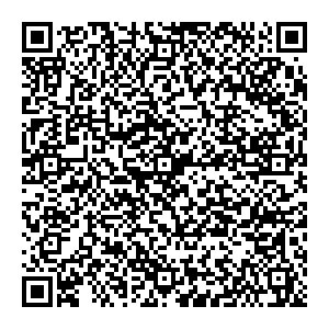 Фикс Прайс Пенза ул. Чехова, д.5 контакты qr