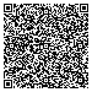 Фикс Прайс Петрозаводск ул. Кирова, д. 19 контакты qr