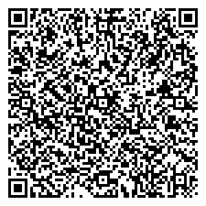 Фикс Прайс Тольятти пр-т Степана Разина, д. 79 А контакты qr