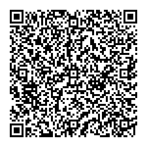 ФНС Воронеж ул. Переверткина, 5A контакты qr