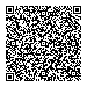 ФНС Ломоносов ул. Швейцарская, д.3а контакты qr