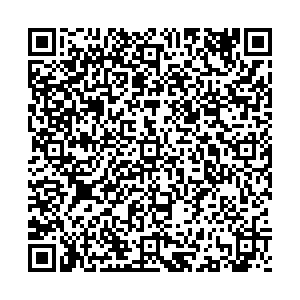 ФНС Самара Брусчатый пер., 38 контакты qr