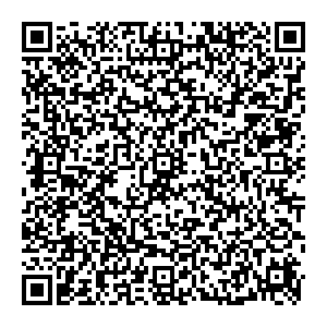 ГАЗ Нижний Новгород Московское шоссе, д.294Б контакты qr