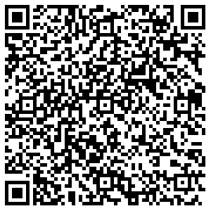 Хендерсон Казань Петербургская, 1 контакты qr