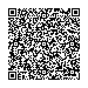 Hyundai Ростов-на-Дону ул. Каширская 8/5 контакты qr
