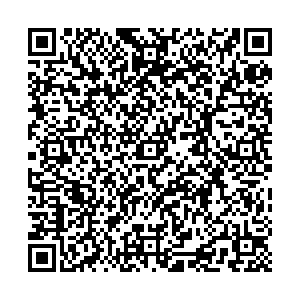 Инсити Воронеж Кольцовская ул., 35 контакты qr