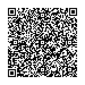 Инсити Ижевск Петрова ул., 29 контакты qr