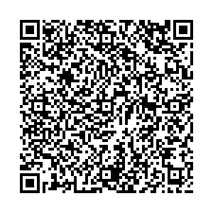 Инсити Ижевск Холмогорова ул., 11 контакты qr