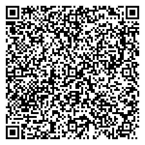 Искусница Санкт-Петербург ул. Бассейная, д. 39 контакты qr