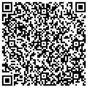 Кари Тольятти ул. Льва Яшина, 14 контакты qr