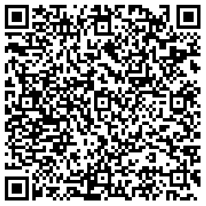 Кари Бронницы Льва Толстого, 9 контакты qr