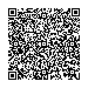 Кари Владикавказ Рамонова, 2 контакты qr
