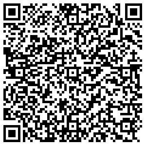 КДЛ Казань Ленинградская, 31 контакты qr