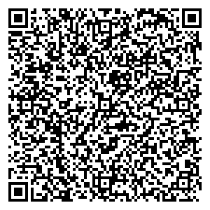 Копейкин Дом Новоалександровск ул.Карла Маркса, 233Б контакты qr