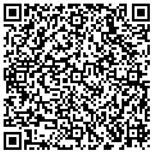 Копирка Санкт-Петербург Ефимова, 3 контакты qr
