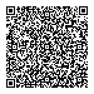 Кораблик Воронеж улица Домостроителей, 24 контакты qr