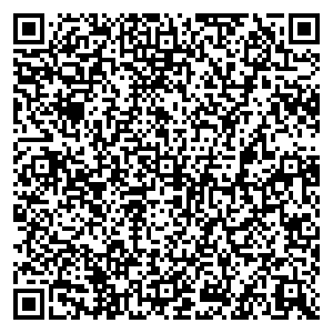 Language Link Санкт-Петербург ул. Казанская д.7 контакты qr