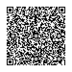 Language Link Самара ул. Советской Армии, д. 217, корп. 2 контакты qr