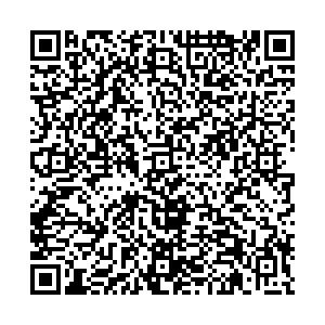 LEGO Санкт-Петербург Брантовская дорога, 3 контакты qr