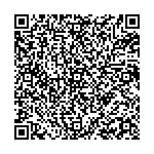 Лером Липецк Балмочных, 11 контакты qr