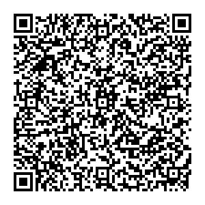 Лером Нижний Новгород Семенов, ул. Чернышевского 4 контакты qr