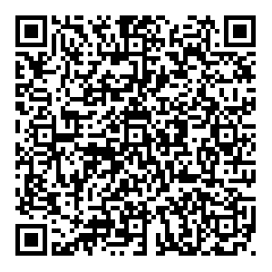 Levall Артем ул. Фрунзе, 32а контакты qr