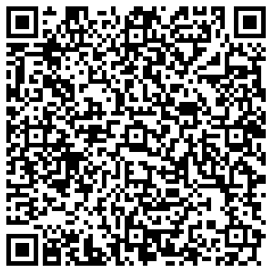 Levis Челябинск Труда, 203 контакты qr