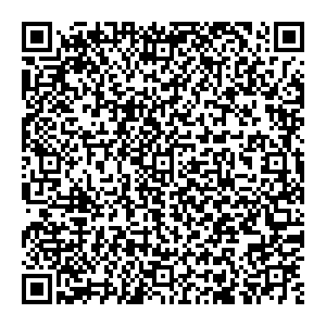 Лифан Великий Новгород ул. Северная, д. 2 контакты qr