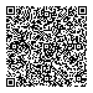 LIL BALLERINE Воронеж Московский проспект д11., 4 этаж, оф 6 контакты qr