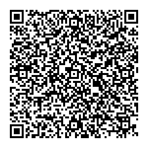 LIL BALLERINE Челябинск ул.Лесопарковая 6 (Парк Сити), 2 этаж контакты qr