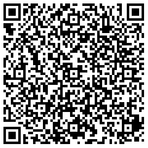 Лион Пермь ул. Революции, д.6 контакты qr