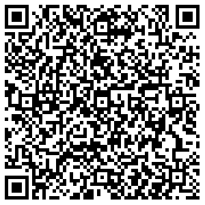 Лион Пермь ул. Данщина, д.19 контакты qr