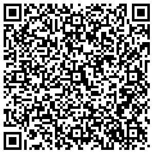 Лион Пермь ул. Мира, д.83 контакты qr