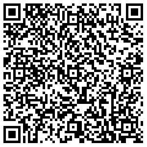 Лион Пермь ул. Веденеева, д.41 контакты qr