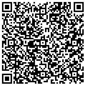 Лион Пермь ул.Тургенева, д.16 контакты qr