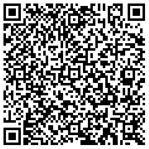 Лион Пермь ул.Революции, д.14 контакты qr