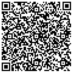 Лион Пермь ул.Революции, д.3 контакты qr