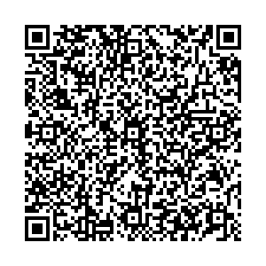 Лион Пермь ул.Краснофлотская, д.11/1 контакты qr