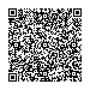 Лион Пермь ул.Максима Горького, д.51 контакты qr