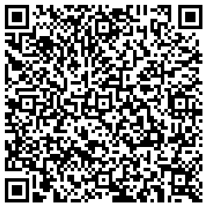 Лион Пермь ул.Лодыгина, д.50/2 контакты qr