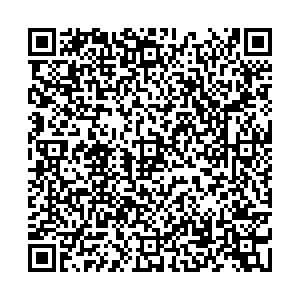 Лион Пермь ул.Черняховского, д.49 контакты qr