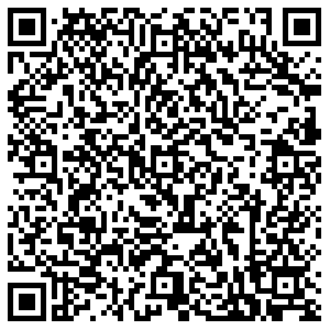 Лион Пермь ул.Сысольская, д.1 контакты qr