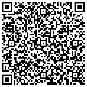 Лион Пермь ул.Сибирская, д.71 контакты qr