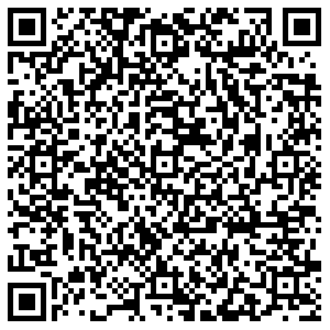 Лион Пермь пр-кт Ленина, д.43 контакты qr