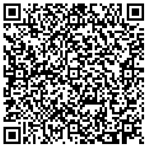 Лион Кунгур ул.Ленина, д.69 контакты qr