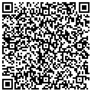 Лион Пермь Сылва, пер.Заводской, д.37/1 контакты qr